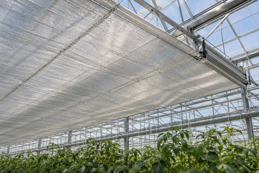 Energy-saving screen in an industrial greenhouse
