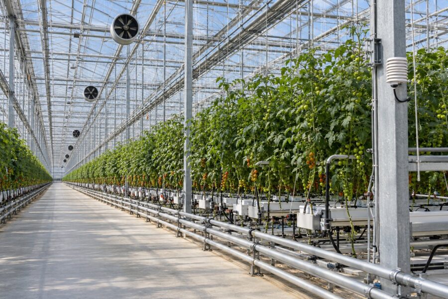 Integrated engineering systems of a greenhouse