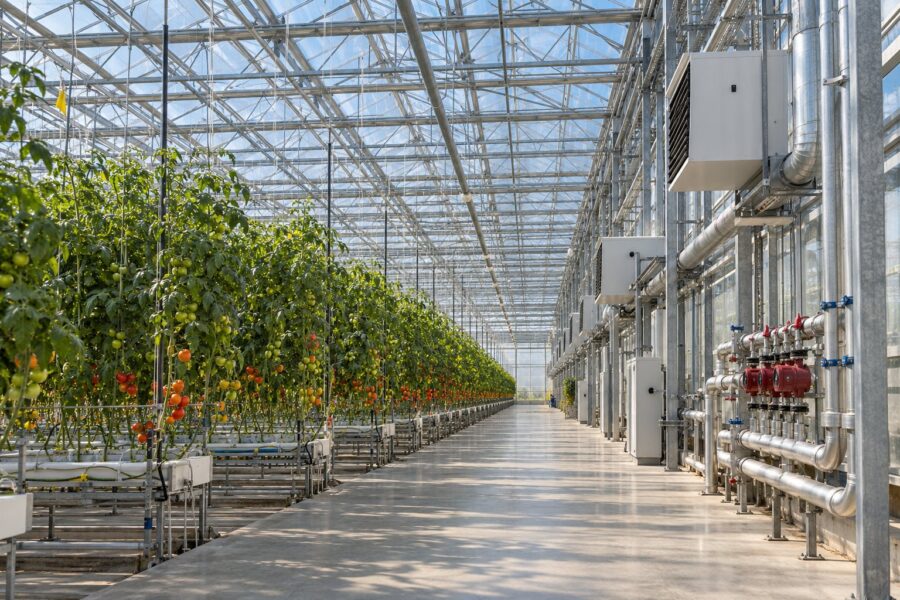 Greenhouse with upgraded equipment