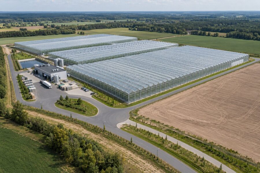 General view of a greenhouse complex
